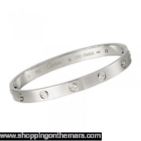 Cartier Silver Platinum Plated Love 