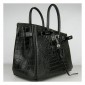 Hermes Birkin 30cm Crocodile Leather Bag Black with Platinum HW
