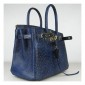 Hermes Birkin 30cm Ostrich Veins Bag Navy Blue with Gold HW